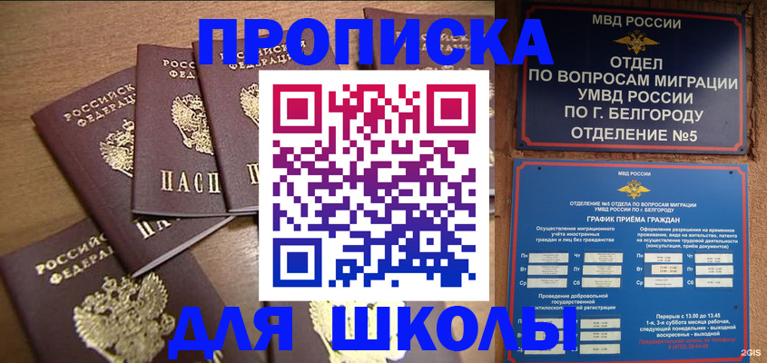 прописка гарантия в Зее